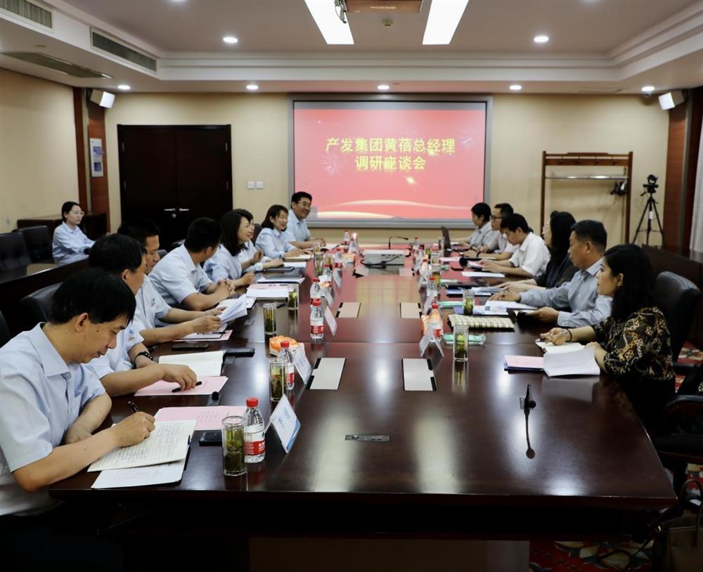 集團黨委副書記、總經(jīng)理黃蓓帶隊調(diào)研濟南市工程咨詢院